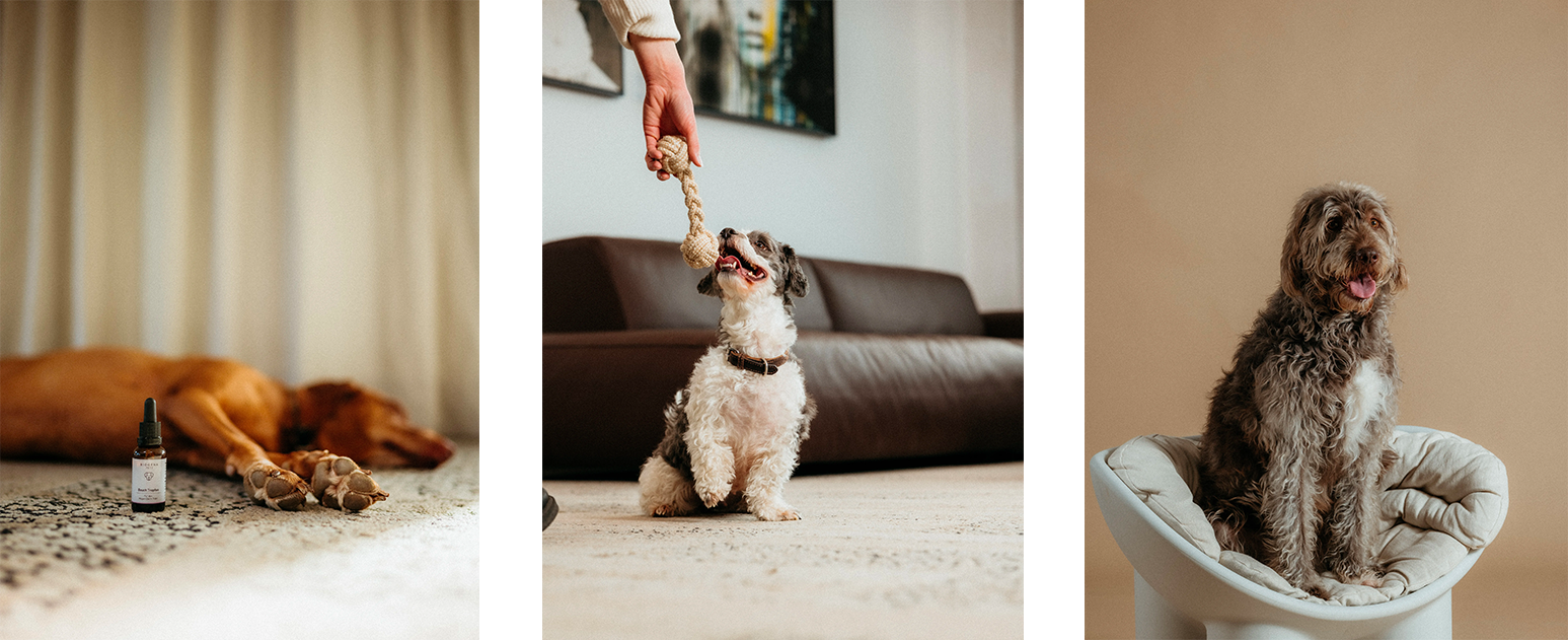 BIOGENA PETS